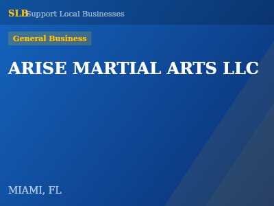 ARISE MARTIAL ARTS LLC — General Business in MIAMI, FL