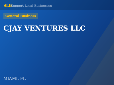 CJAY VENTURES LLC — General Business in MIAMI, FL