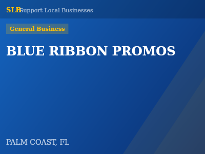 BLUE RIBBON PROMOS — General Business in PALM COAST, FL
