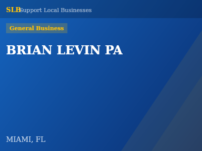 BRIAN LEVIN PA — General Business in MIAMI, FL