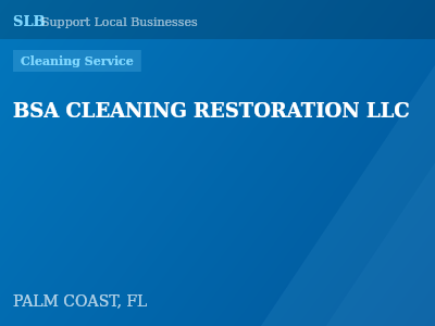 BSA CLEANING RESTORATION LLC — Cleaning Service in PALM COAST, FL