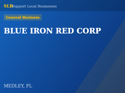BLUE IRON RED CORP — General Business in MEDLEY, FL