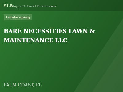 BARE NECESSITIES LAWN & MAINTENANCE LLC — Landscaping in PALM COAST, FL
