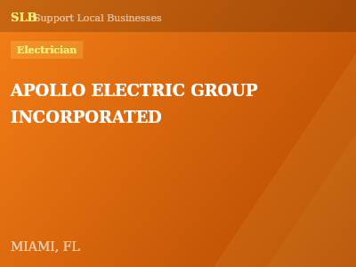 APOLLO ELECTRIC GROUP INCORPORATED — Electrician in MIAMI, FL