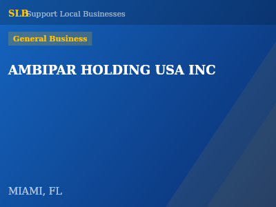 AMBIPAR HOLDING USA INC — General Business in MIAMI, FL