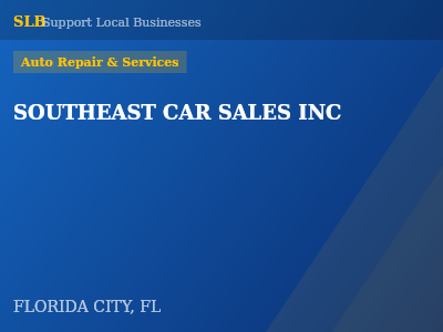 SOUTHEAST CAR SALES INC — Auto Repair & Services in FLORIDA CITY, FL