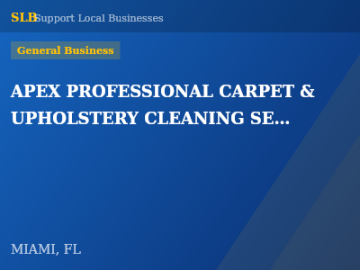 APEX PROFESSIONAL CARPET & UPHOLSTERY CLEANING SERVICES INC — General Business in MIAMI, FL