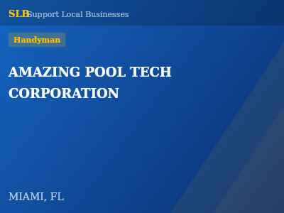 AMAZING POOL TECH CORPORATION — Handyman in MIAMI, FL