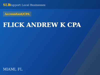 FLICK ANDREW K CPA — Accountant/CPA in MIAMI, FL