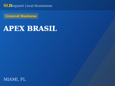 APEX BRASIL — General Business in MIAMI, FL