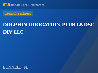 DOLPHIN IRRIGATION PLUS LNDSC DIV LLC — General Business in BUNNELL, FL