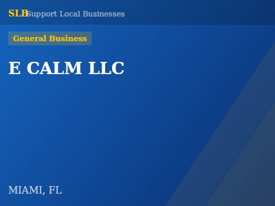 E CALM LLC — General Business in MIAMI, FL