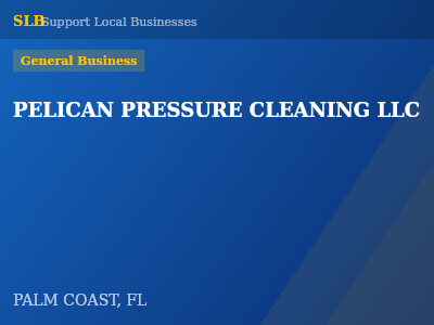 PELICAN PRESSURE CLEANING LLC — General Business in PALM COAST, FL