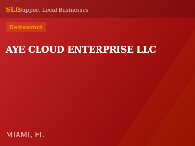 AYE CLOUD ENTERPRISE LLC — Restaurant in MIAMI, FL
