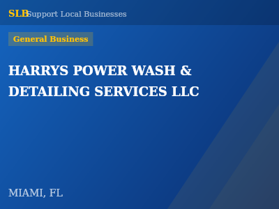 HARRYS POWER WASH & DETAILING SERVICES LLC — General Business in MIAMI, FL
