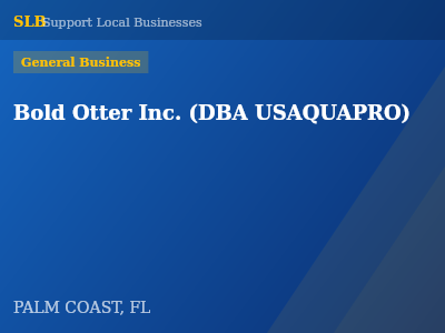 Bold Otter Inc. (DBA USAQUAPRO) — General Business in PALM COAST, FL