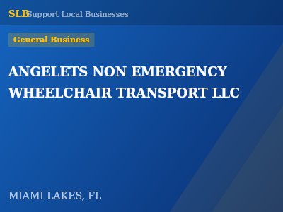 ANGELETS NON EMERGENCY WHEELCHAIR TRANSPORT LLC — General Business in MIAMI LAKES, FL