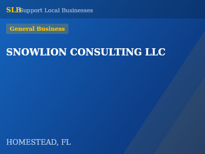 SNOWLION CONSULTING LLC — General Business in HOMESTEAD, FL