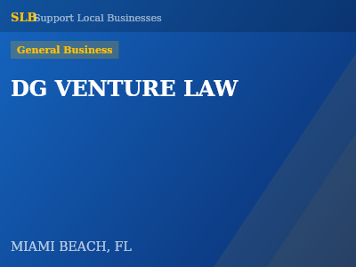 DG VENTURE LAW — General Business in MIAMI BEACH, FL