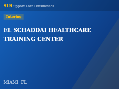EL SCHADDAI HEALTHCARE TRAINING CENTER — Tutoring in MIAMI, FL