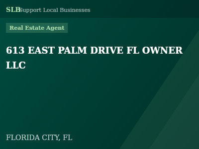 613 EAST PALM DRIVE FL OWNER LLC — Real Estate Agent in FLORIDA CITY, FL