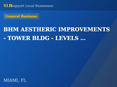 BHM AESTHERIC IMPROVEMENTS - TOWER BLDG - LEVELS 3 TO 5 — General Business in MIAMI, FL