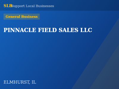 PINNACLE FIELD SALES LLC — General Business in ELMHURST, IL