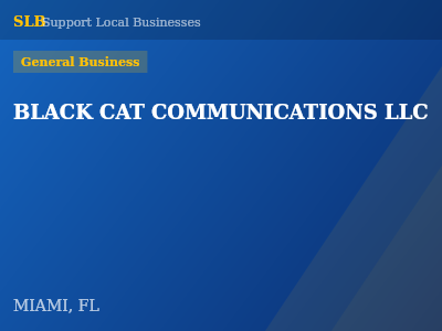 BLACK CAT COMMUNICATIONS LLC — General Business in MIAMI, FL
