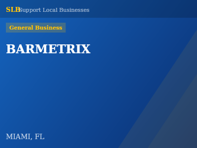 BARMETRIX — General Business in MIAMI, FL