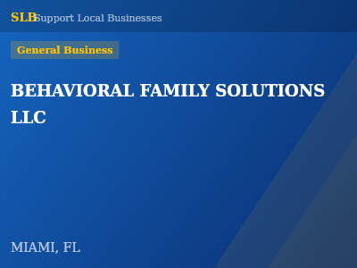 BEHAVIORAL FAMILY SOLUTIONS LLC — General Business in MIAMI, FL