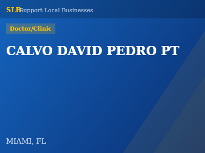 CALVO DAVID PEDRO PT — Doctor/Clinic in MIAMI, FL