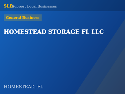 HOMESTEAD STORAGE FL LLC — General Business in HOMESTEAD, FL
