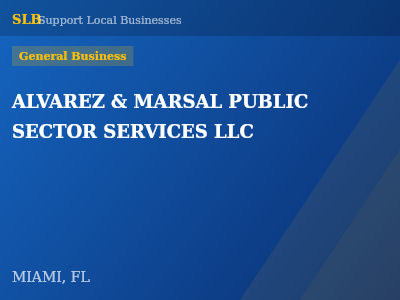 ALVAREZ & MARSAL PUBLIC SECTOR SERVICES LLC — General Business in MIAMI, FL