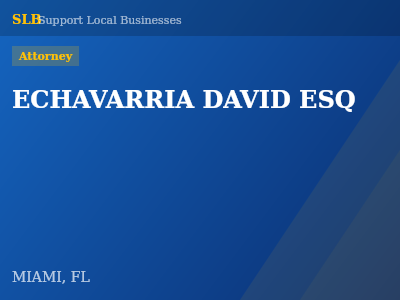 ECHAVARRIA DAVID ESQ — Attorney in MIAMI, FL