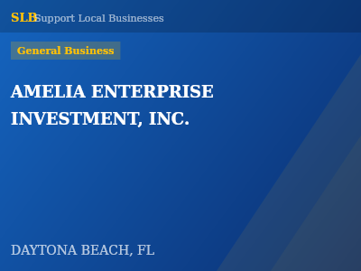 AMELIA ENTERPRISE INVESTMENT, INC. — General Business in DAYTONA BEACH, FL