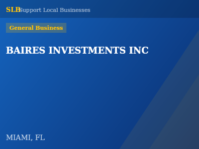 BAIRES INVESTMENTS INC — General Business in MIAMI, FL