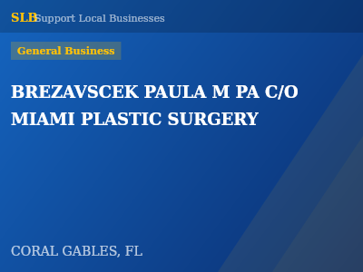 BREZAVSCEK PAULA M PA C/O MIAMI PLASTIC SURGERY — General Business in CORAL GABLES, FL