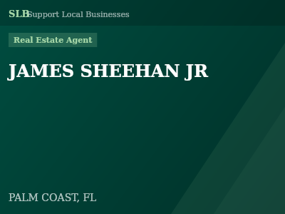 JAMES SHEEHAN JR — Real Estate Agent in PALM COAST, FL