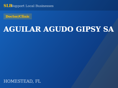 AGUILAR AGUDO GIPSY SA — Doctor/Clinic in HOMESTEAD, FL