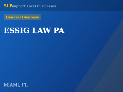 ESSIG LAW PA — General Business in MIAMI, FL