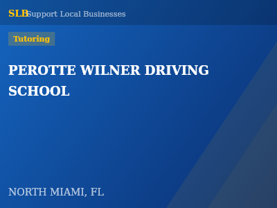 PEROTTE WILNER DRIVING SCHOOL — Tutoring in NORTH MIAMI, FL