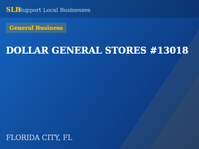 DOLLAR GENERAL STORES #13018 — General Business in FLORIDA CITY, FL