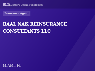 BAAL NAK REINSURANCE CONSULTANTS LLC — Insurance Agent in MIAMI, FL