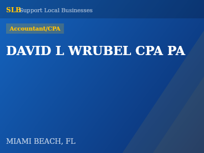 DAVID L WRUBEL CPA PA — Accountant/CPA in MIAMI BEACH, FL
