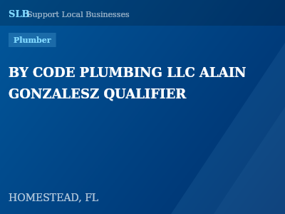 BY CODE PLUMBING LLC ALAIN GONZALESZ QUALIFIER — Plumber in HOMESTEAD, FL