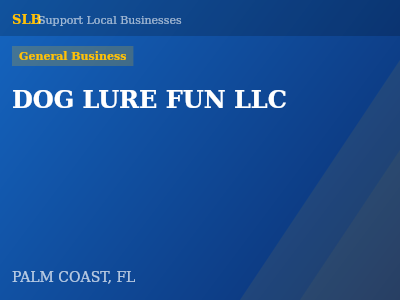DOG LURE FUN LLC — General Business in PALM COAST, FL