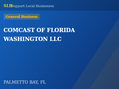 COMCAST OF FLORIDA WASHINGTON LLC — General Business in PALMETTO BAY, FL