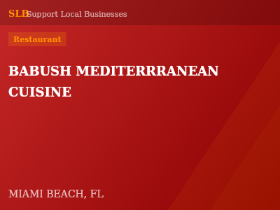 BABUSH MEDITERRRANEAN CUISINE — Restaurant in MIAMI BEACH, FL