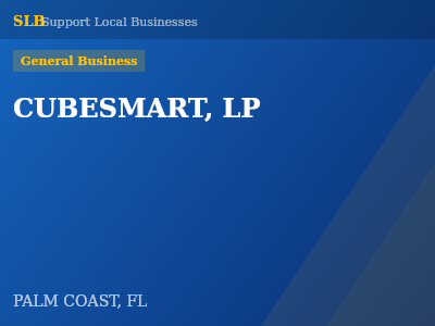 CUBESMART, LP — General Business in PALM COAST, FL