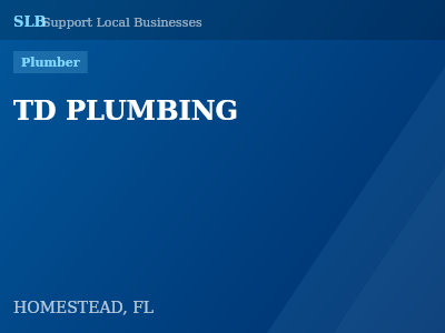 TD PLUMBING — Plumber in HOMESTEAD, FL